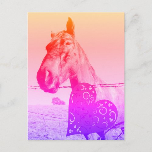 Red Heart and  Horse Valinetine or love Postcard