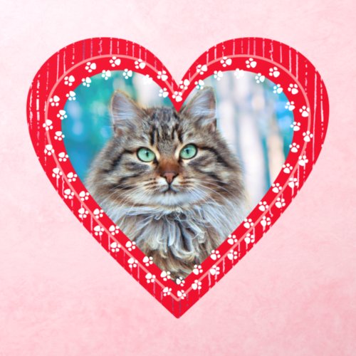 Red Heart Frame Pet Cat Photo Wall Decal
