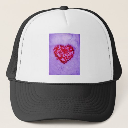 Red Heart of holly berries in snow Trucker Hat