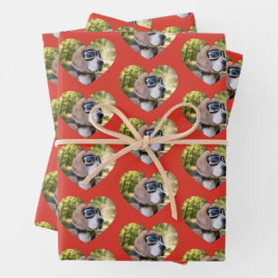 Red Heart Pet Photo Wrapping Paper Sheets