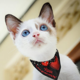 Red Hearts Love you more Pet Bandana Collar