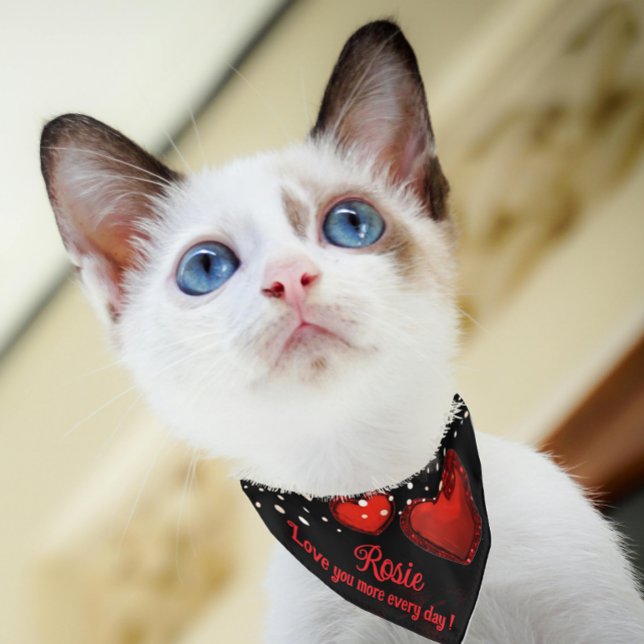 Red Hearts Love you more Pet Bandana Collar (Red Hearts Love you more Pet Bandana Collar)