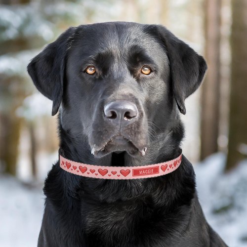 Red Hearts Valentines Day Love Pattern With Name Pet Collar