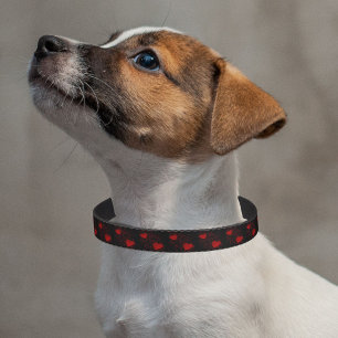 Red Hearts with Sparkles and Dots Pattern Pet Collar