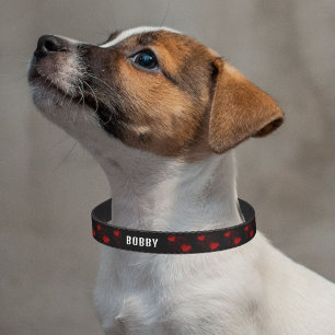 Red Hearts with Sparkles Dots Pattern Name Pet Collar