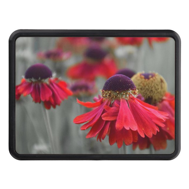 Red Helenium in Selective Colors - Desaturated Hitch Cover (Front)