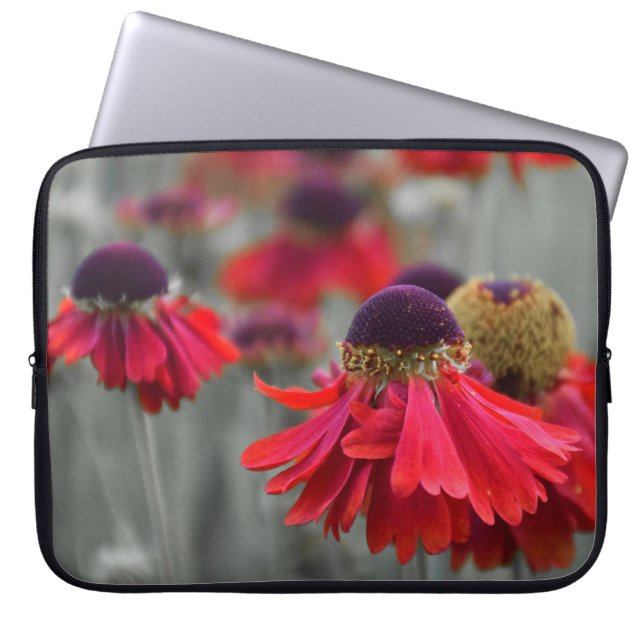 Red Helenium in Selective Colors - Desaturated Laptop Sleeve (Front)