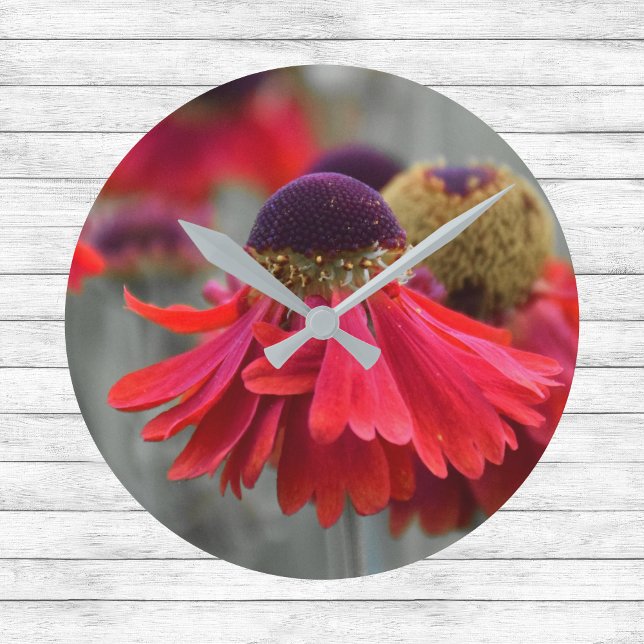 Red Helenium in Selective Colors - Desaturated Round Clock (Creator Uploaded)