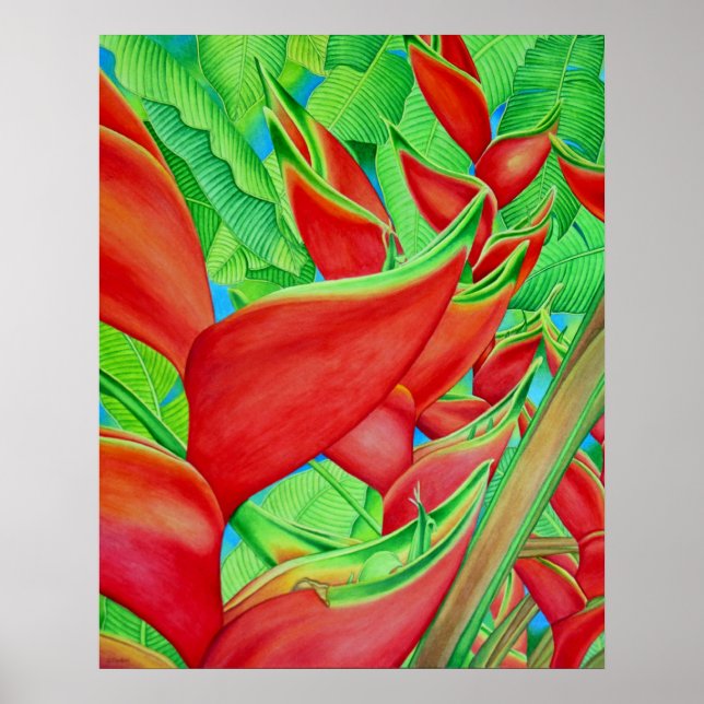 Red Heliconia Poster (Front)