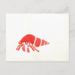 Red Hermit Crab Postcard