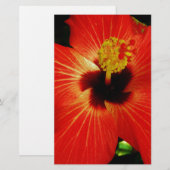 Red Hibiscus (Front/Back)
