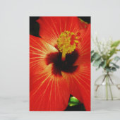 Red Hibiscus (Standing Front)