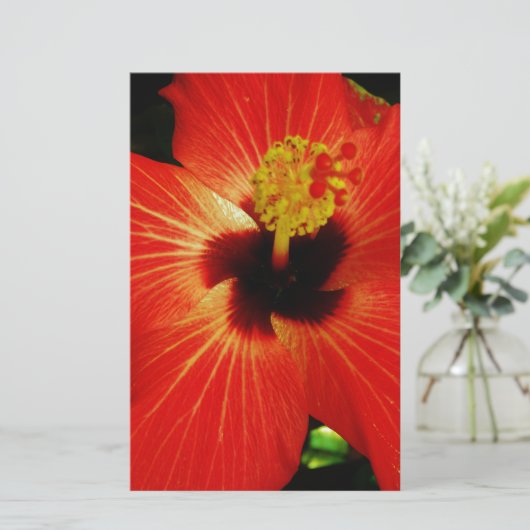 Red Hibiscus (Standing Front)