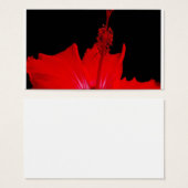 Red Hibiscus (Front & Back)