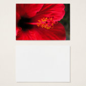 Red hibiscus (Front & Back)