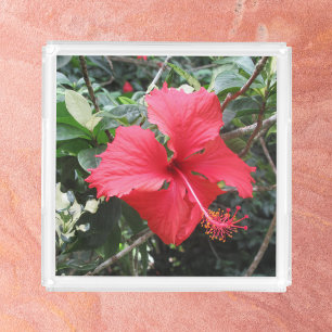 Red Hibiscus Acrylic Tray