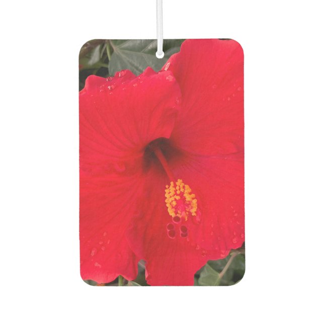 Red Hibiscus Air Frehener Freshener (Front)