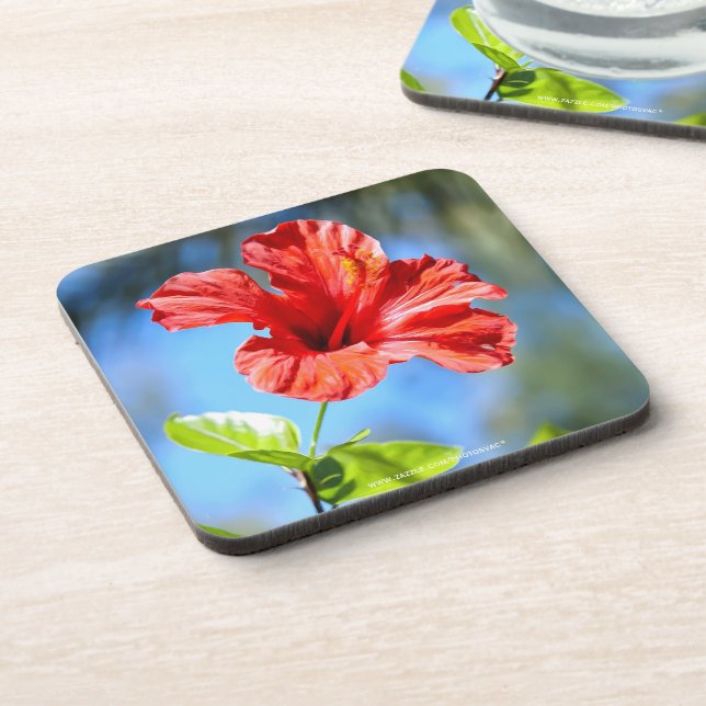 Red Hibiscus Beverage Coaster (Left Side)
