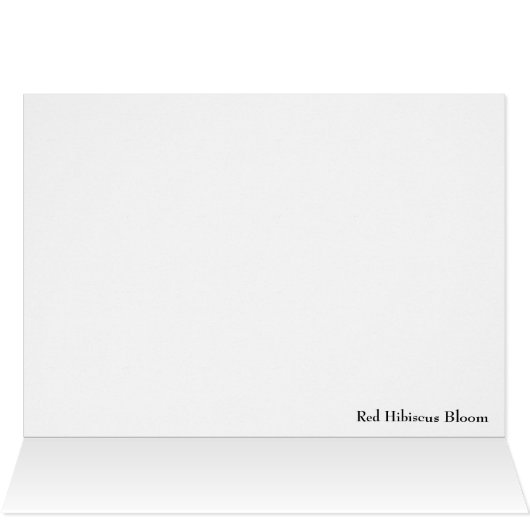 Red Hibiscus Bloom (Inside Horizontal (Top))