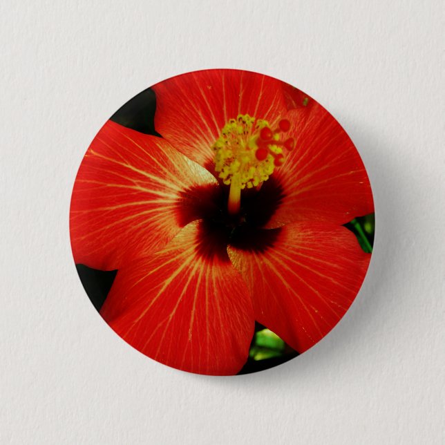 Red Hibiscus Button (Front)