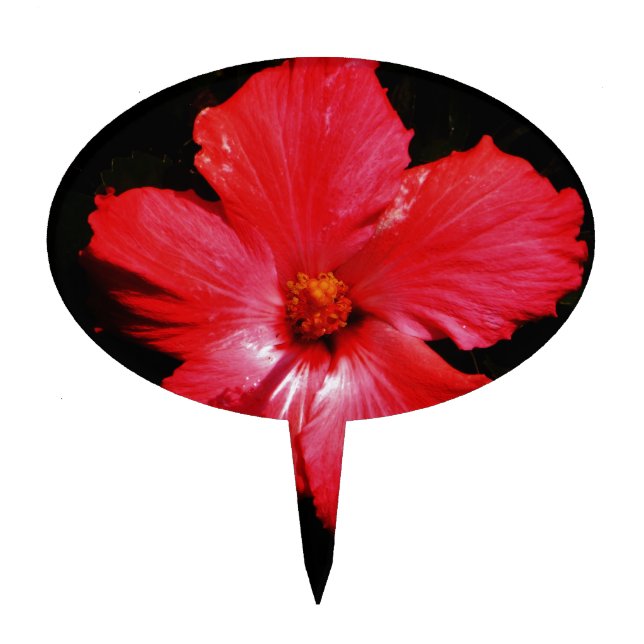 Red Hibiscus Cake Topper (Front)