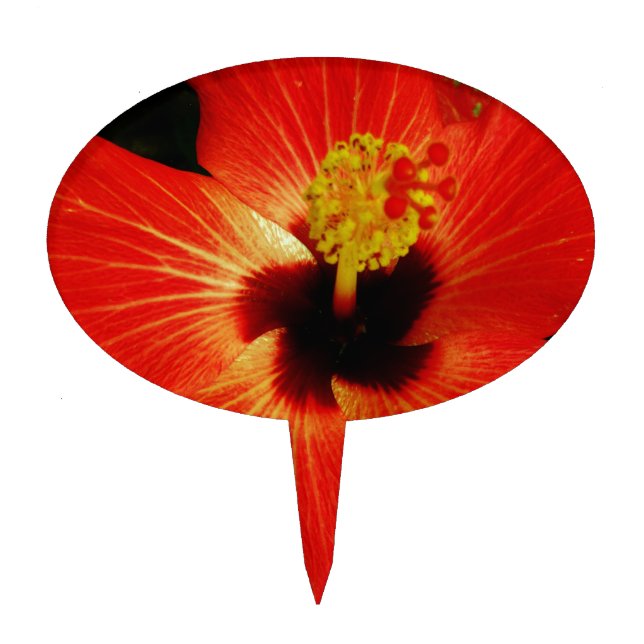 Red Hibiscus Cake Topper (Front)