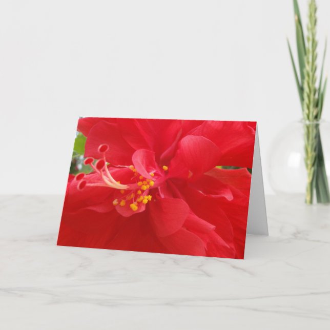 Red Hibiscus Card (Front)