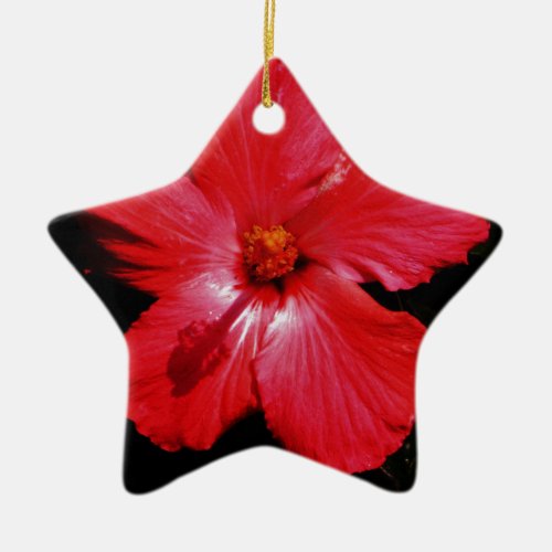 Red Hibiscus Ceramic Ornament