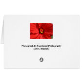 Red Hibiscus Close-up Card (Back Horizontal)