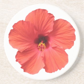 Red Hibiscus Coasters by pmcustomgifts at Zazzle