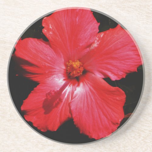 Red Hibiscus Drink Coaster