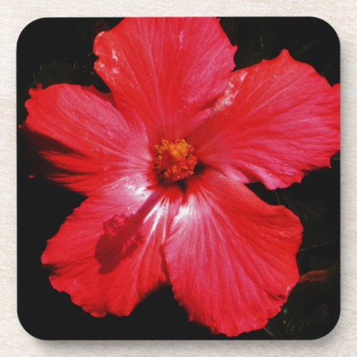 Red Hibiscus Drink Coaster