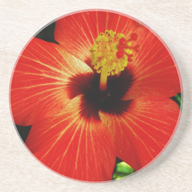 Red Hibiscus Drink Coaster (Front)