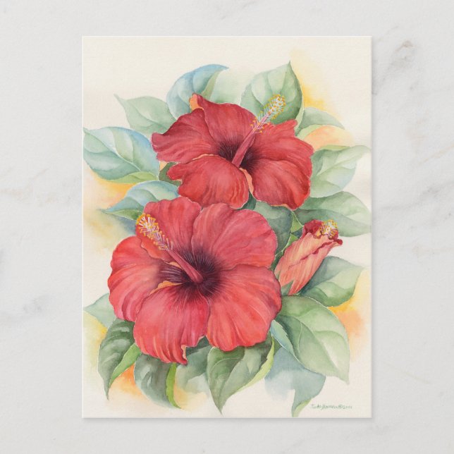 Red Hibiscus Floral Tropical Watercolor Art Postcard (Front)