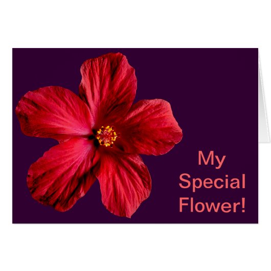 Red Hibiscus Flower Cards (Front Horizontal)