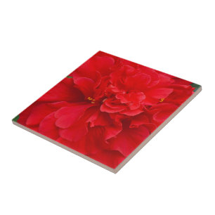 Red hibiscus flower ceramic tile