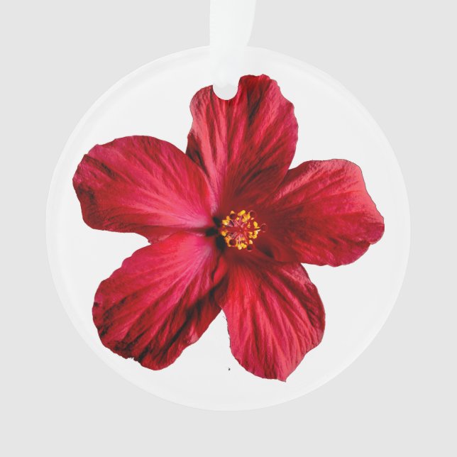 Red Hibiscus Flower Circle Acrylic Ornament (Front)
