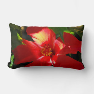 Red Hibiscus Flower in Sunlight Lumbar Pillow