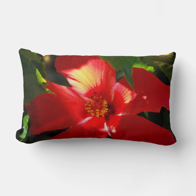 Red Hibiscus Flower in Sunlight Lumbar Pillow (Front)
