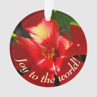 Red Hibiscus Flower in Sunlight Ornament