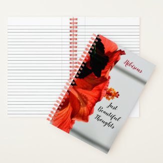 Red Hibiscus Flower Just Beautiful Thoughts