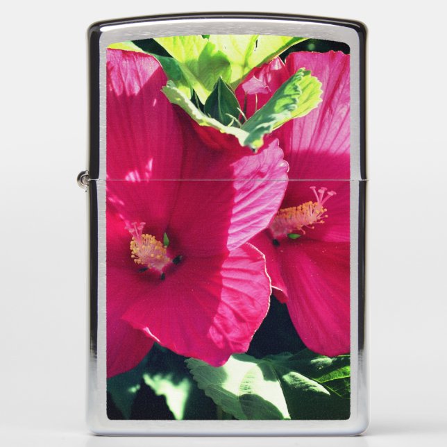 Red Hibiscus Flower Pair Close Up  Zippo Lighter (Front)