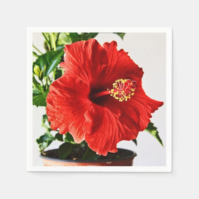 Red Hibiscus Flower Paper Napkins (Front)