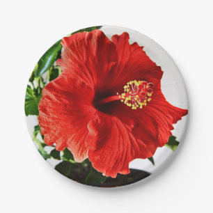 Red Hibiscus Flower Paper Plates