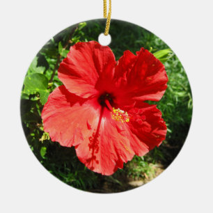 Red Hibiscus Flower Photograph from Hawaii Ceramic Ornament