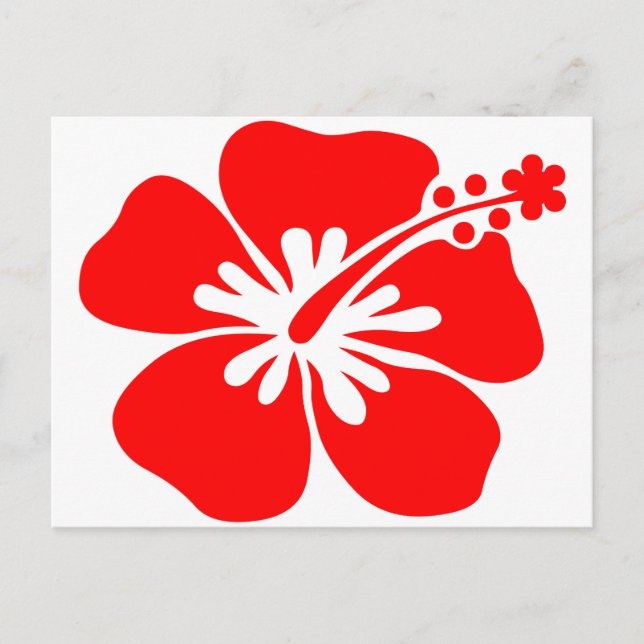 Red hibiscus flower postcard (Front)