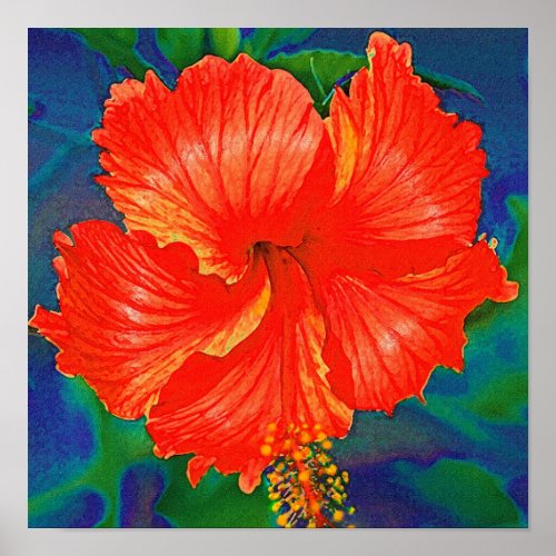 Red hibiscus flower poster