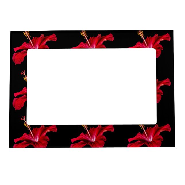 Red Hibiscus Flower Side View Magnetic Picture Frame (Front)