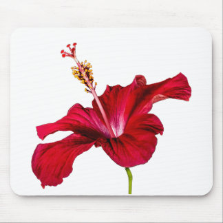 Red Hibiscus Flower Side View Mouse Pad