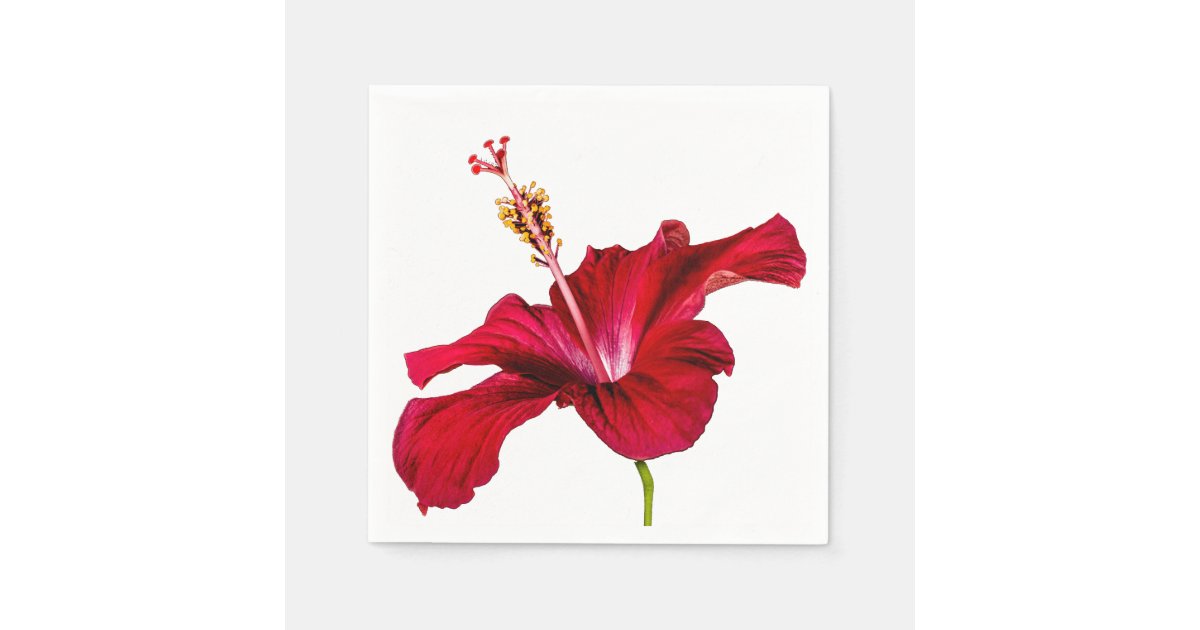 Red Hibiscus Flower Side View Paper Napkins Zazzle Com
